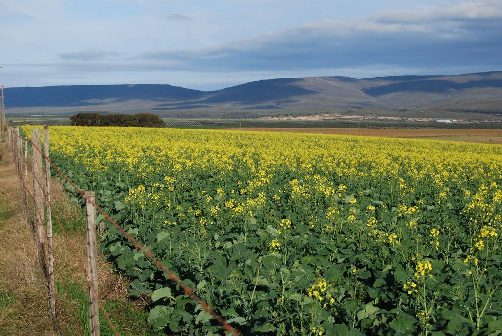 Anna'S Farm Stay Slangrivier Εξωτερικό φωτογραφία